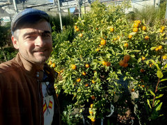 🇪🇸❤️🍊🍊🍊