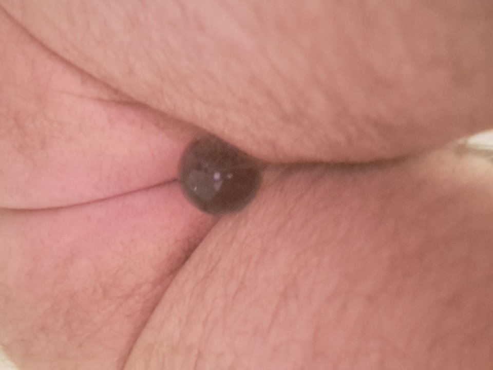 17030029792047555712680344268704.jpg - rafal1410