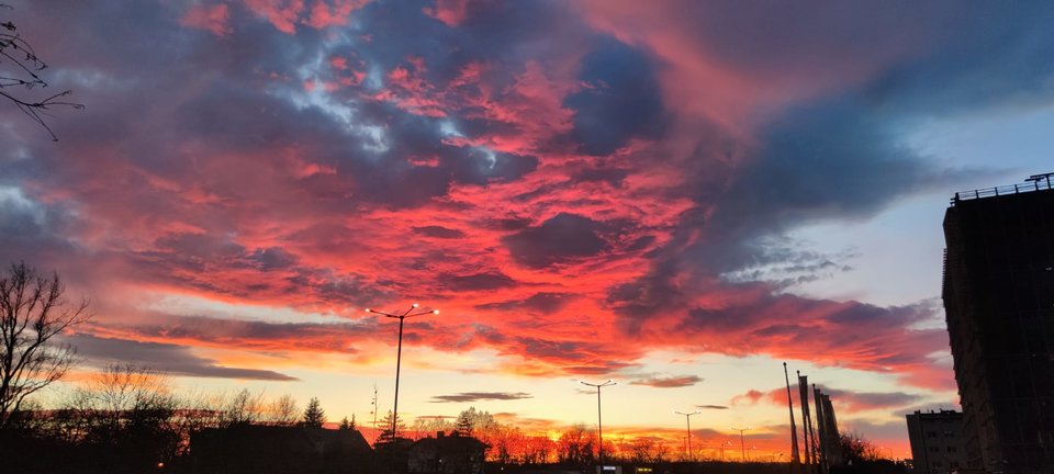 IMG-20231219-WA0003.jpg - Nicci