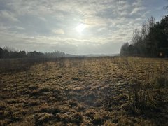 IMG_0587.jpeg