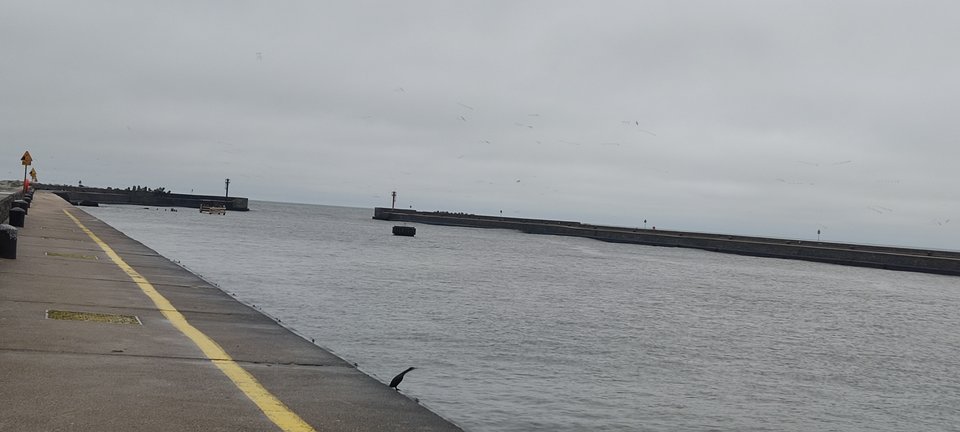 IMG_20231221_093850.jpg - edytkaandrzej