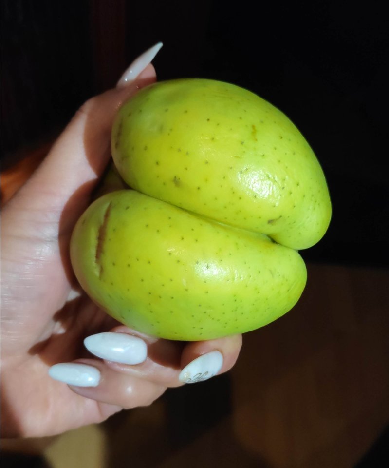 IMG_20231222_152538.jpg - Nicci