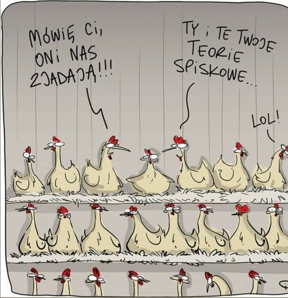 IMG_20231222_152432.jpg - Nicci