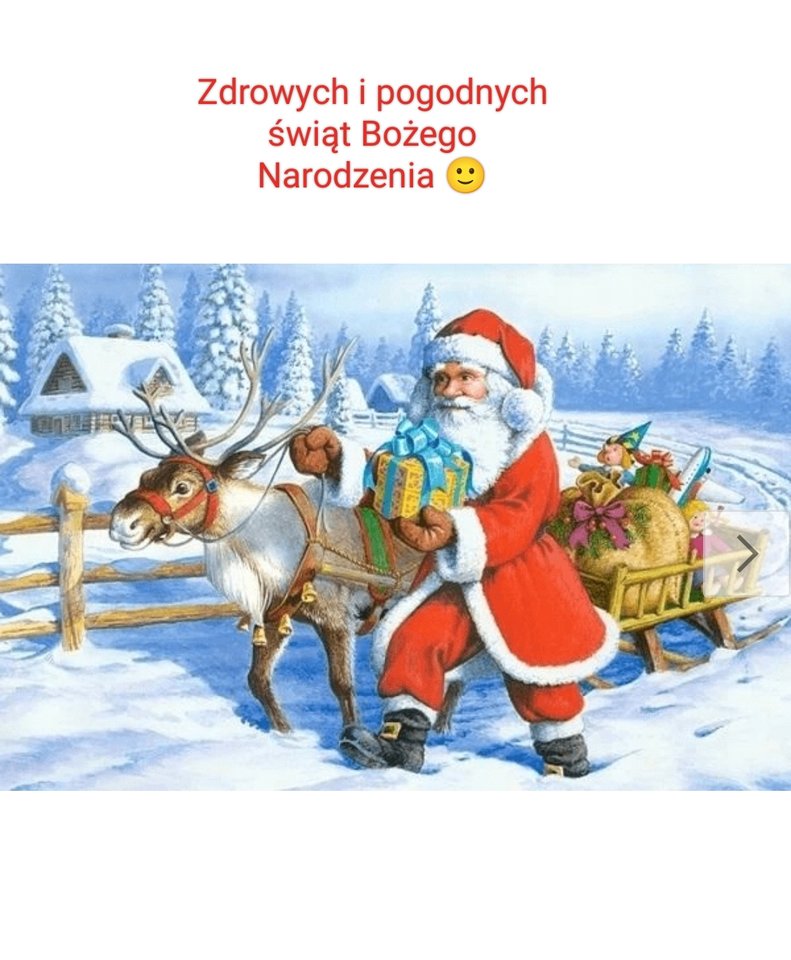 🌲🌲🌲 - rudagocha