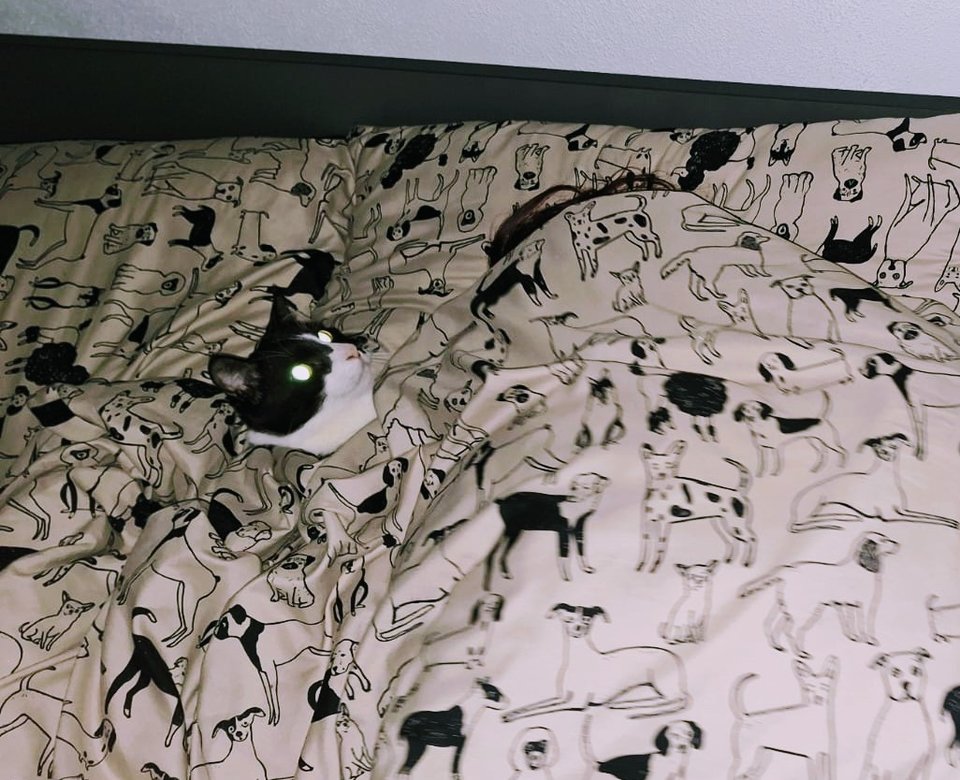 IMG-20231223-WA0002~2.jpg - RogaciOtwarci