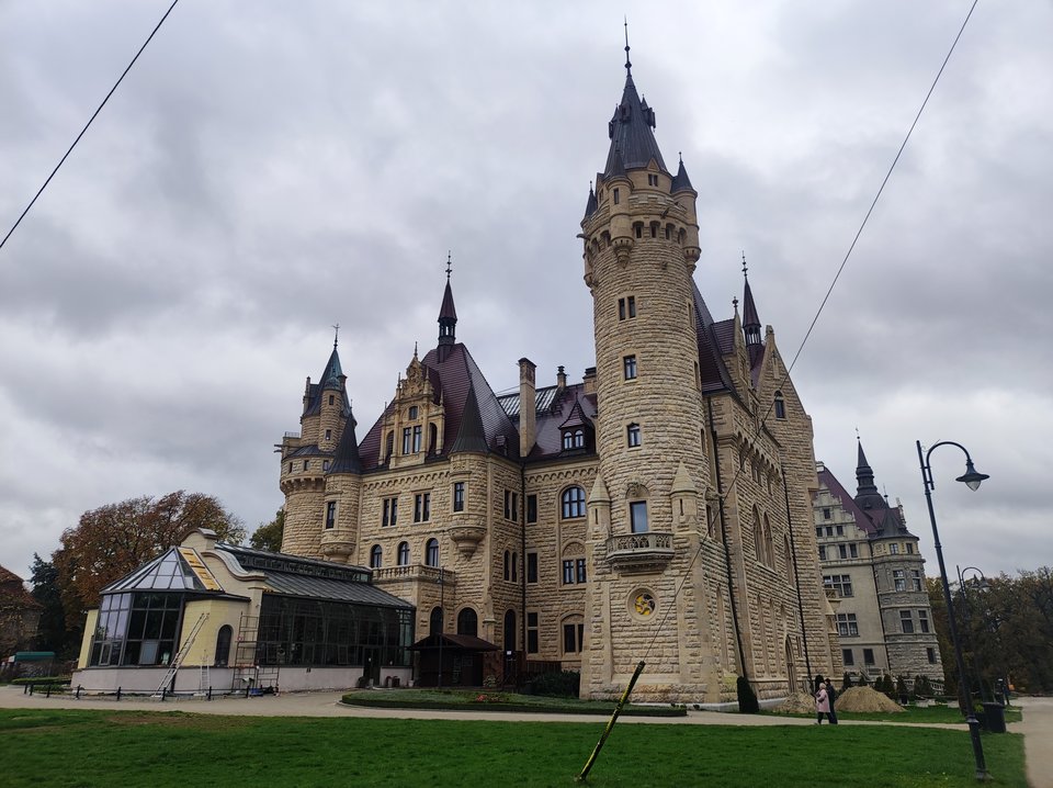 IMG_20221105_121510.jpg - rozakarol