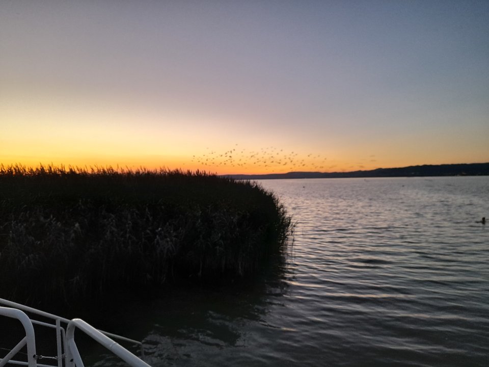 20220803_204544.jpg - Efemeryczni_Oni