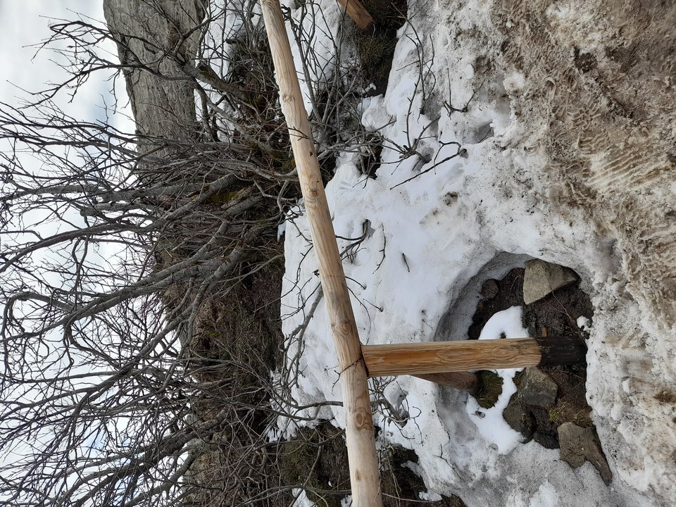 20230429_144818.jpg - Efemeryczni_Oni