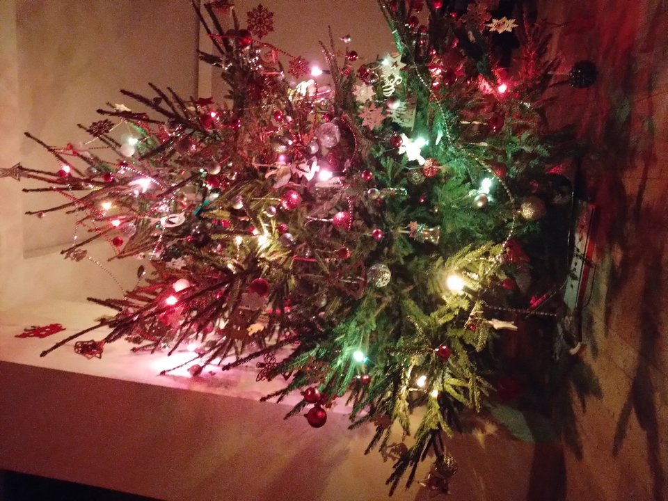 20231228_004706.jpg - JaDlaNiej0000