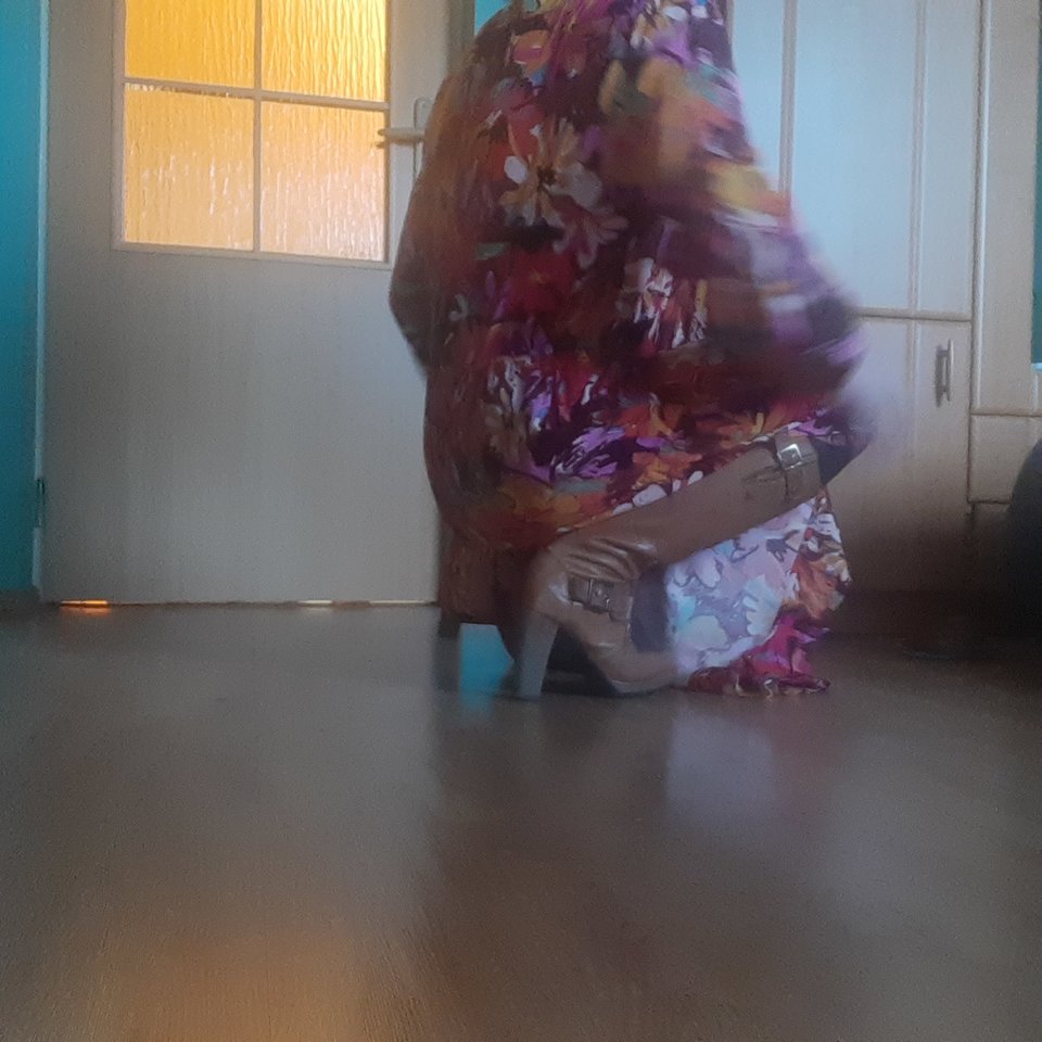 17041053958858928782618910017954.jpg - Palciusia