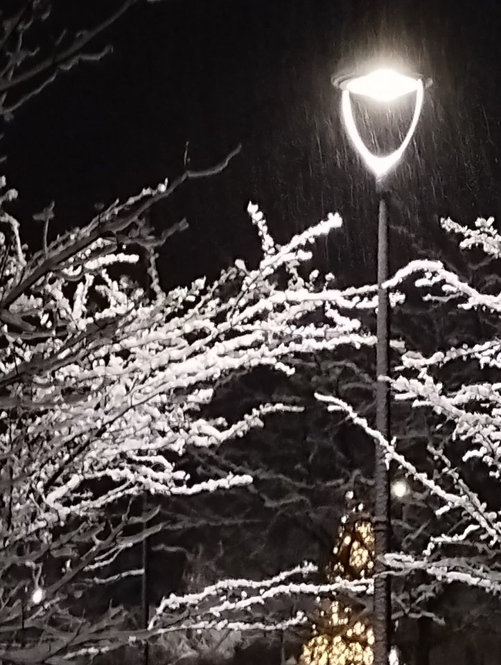 IMG_20240101_204138874.jpg - Tabas0