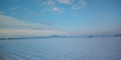 IMG_20231130_084125.jpg