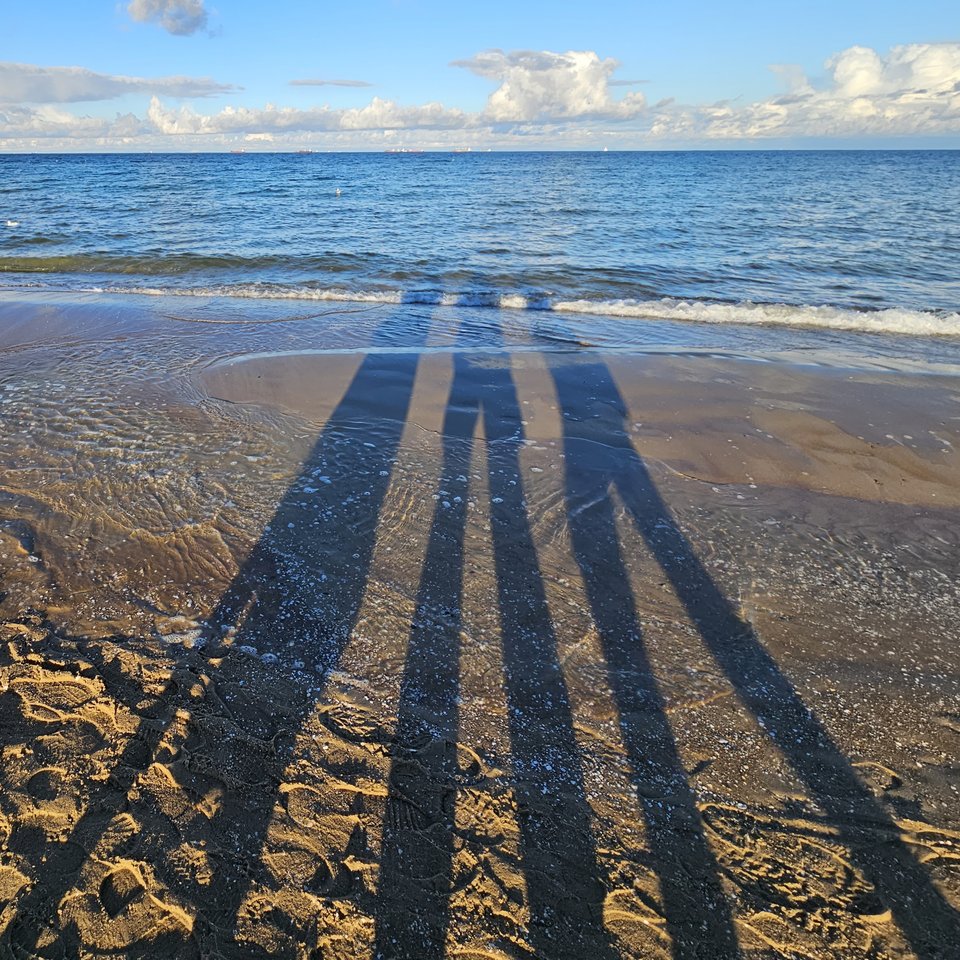 20240104_150859.jpg - KinkyPattyPans