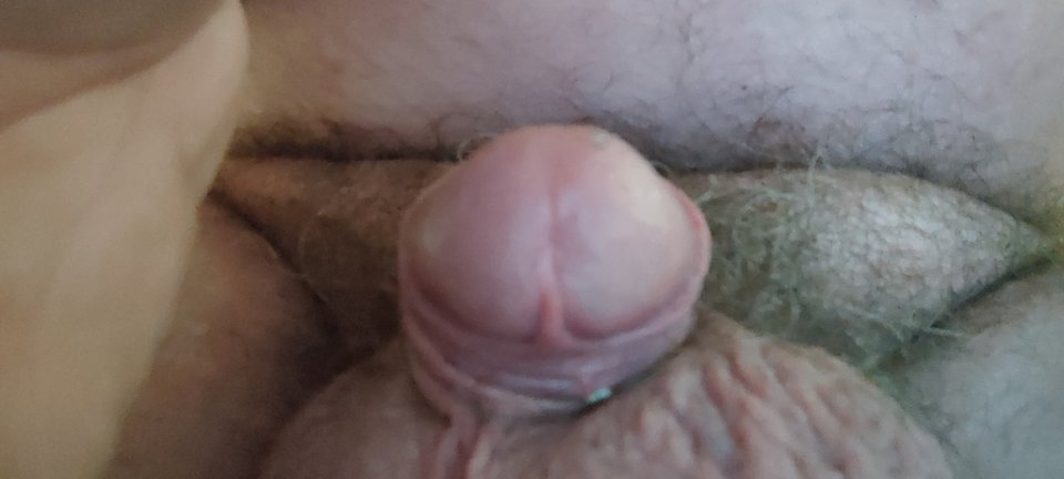 IMG_20240106_072910.jpg - misieq44