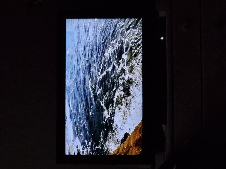 1000000221.jpg - gutek1234