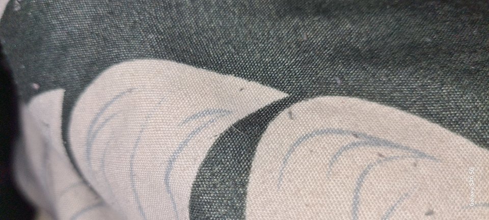 17045838365773578926578693188765.jpg - Nikolapa