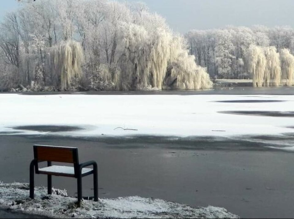 IMG_20240110_104203.jpg - Nicci