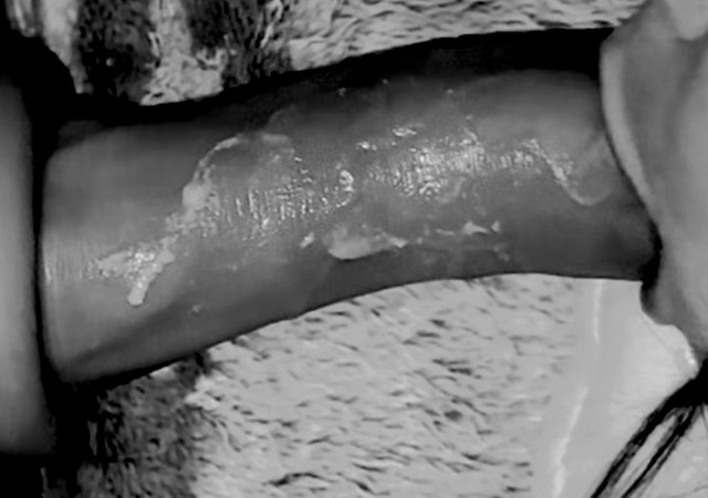 IMG_4351.jpeg - fuckBOTAK