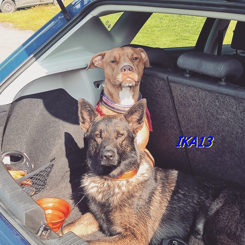 IMG-20211022-WA0001.jpg - ika13