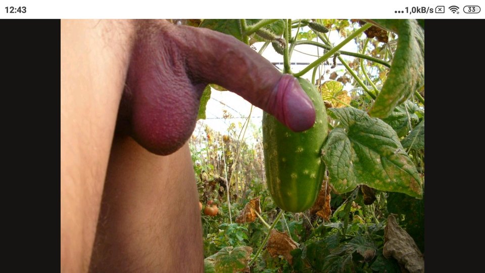 attach (11).jpeg - Fiutkutaschujjaja