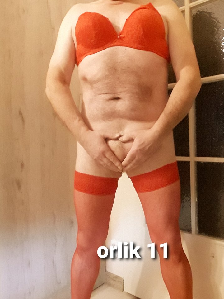 20240115 - orlik11