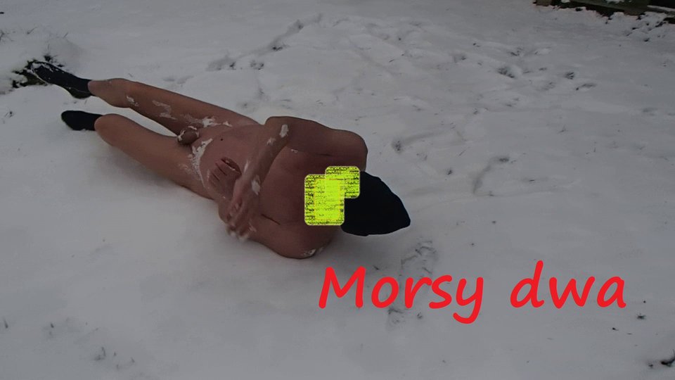 Zima. - Morsy_dwa