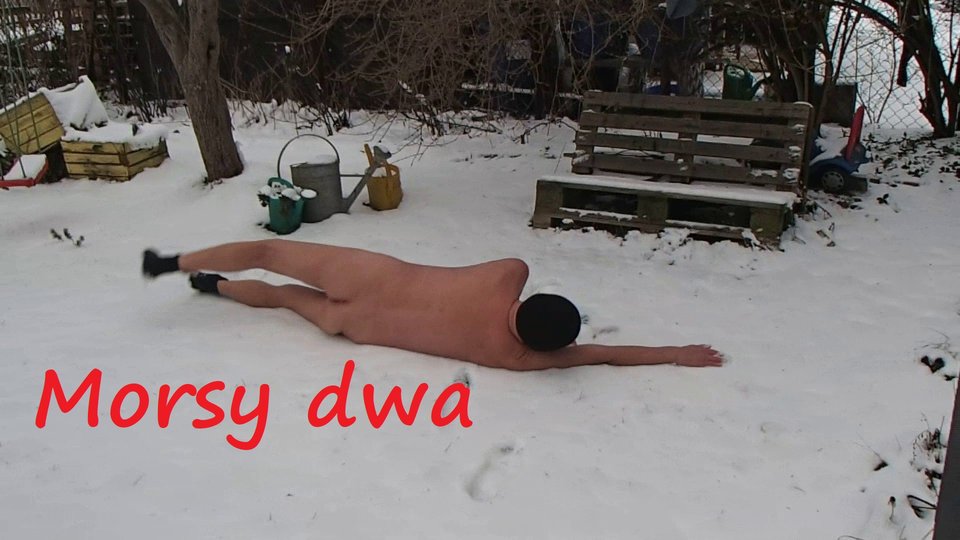 Zima. - Morsy_dwa