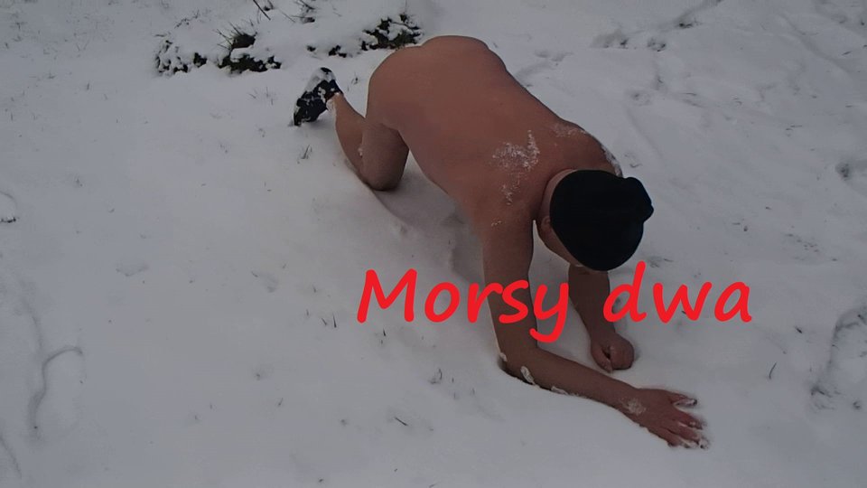 Zima. - Morsy_dwa