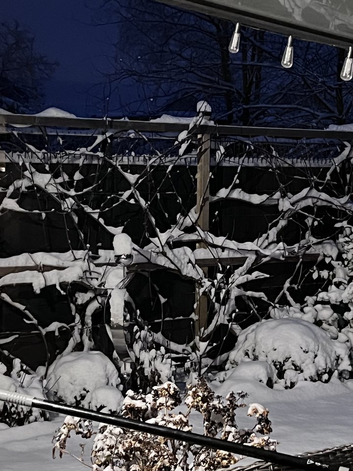 IMG_0500.jpeg - nrw670n