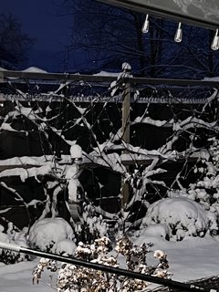 IMG_0500.jpeg