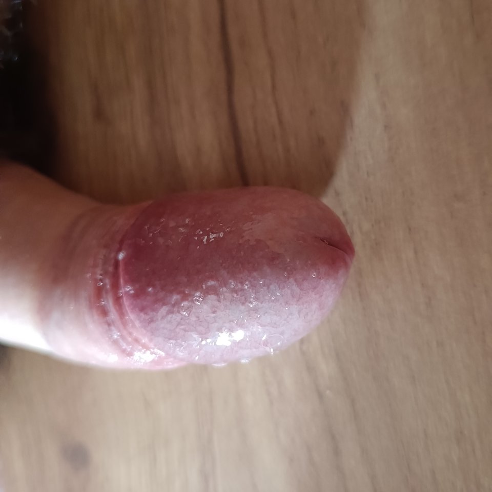 17058390625108405399042038754218.jpg - small_bull