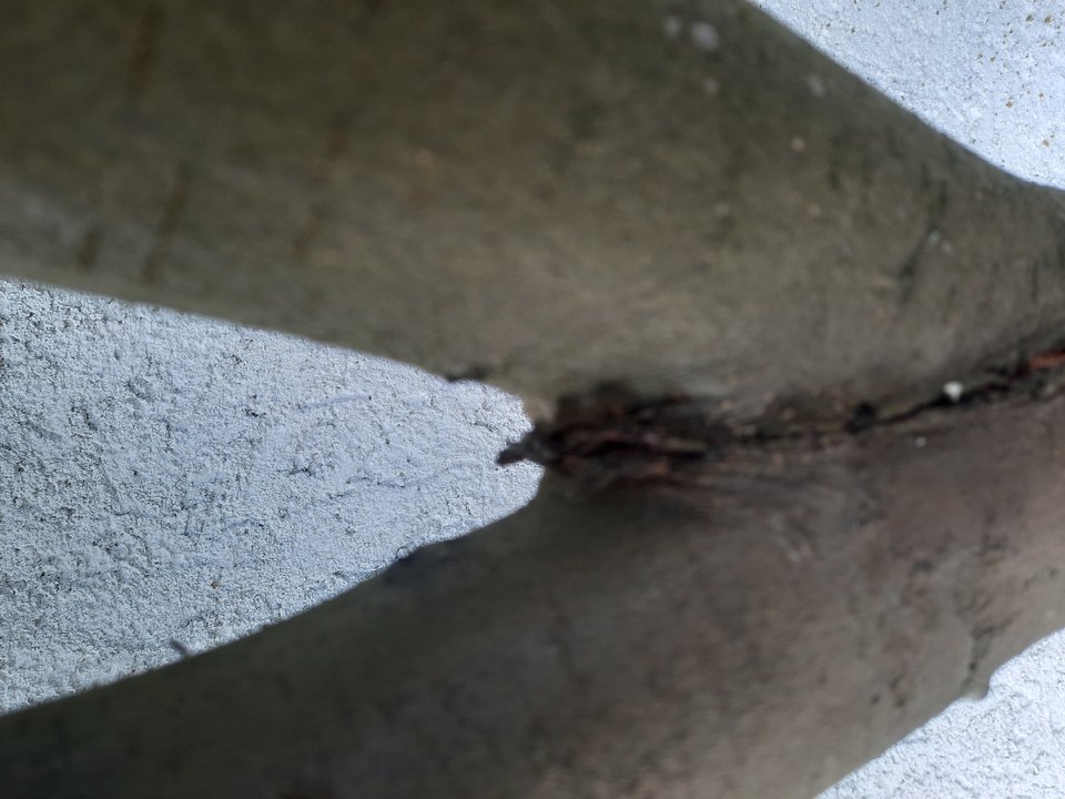 20220802_160124.jpg - Klimatyczny52