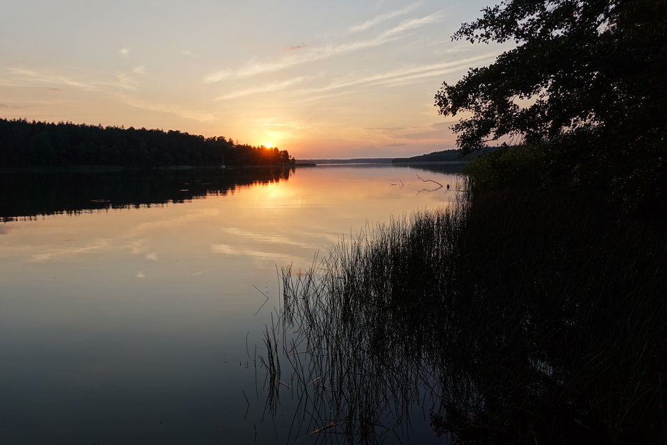 20230818_078.JPG - benio074