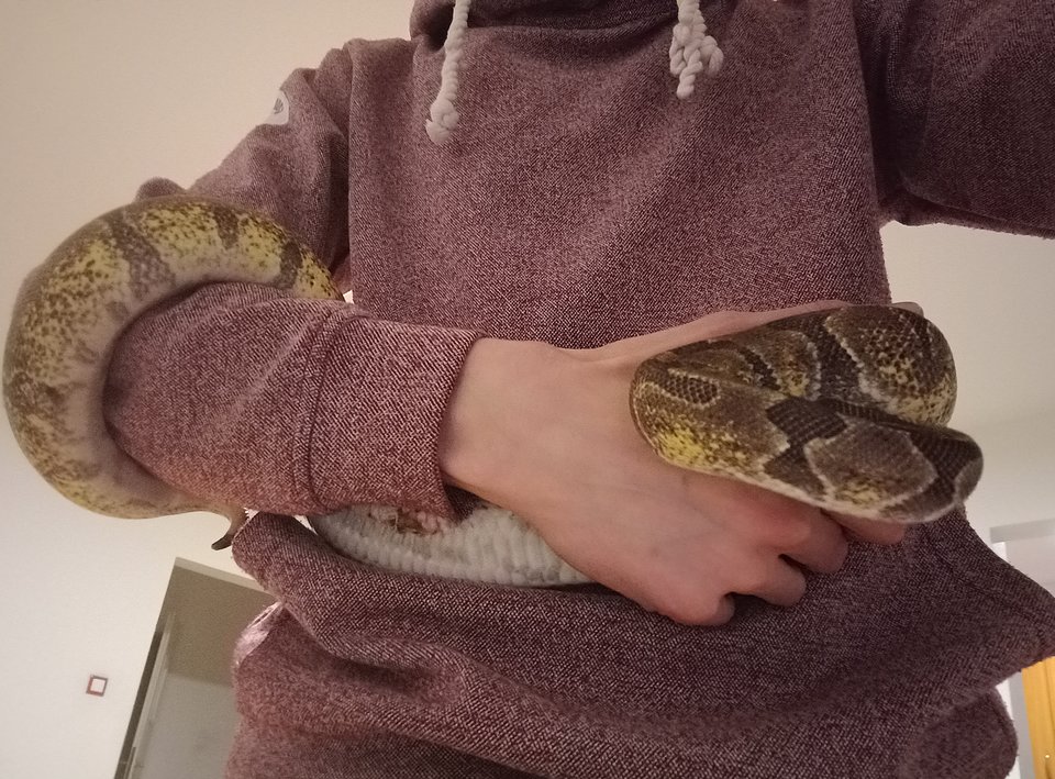 Moja córeczka od samego rana domaga się pieszczot 😂 no weź - Jeremi1wol