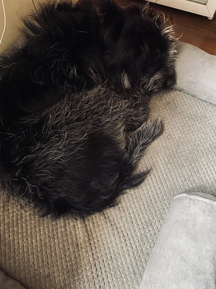 IMG_8104.jpeg - May_Day