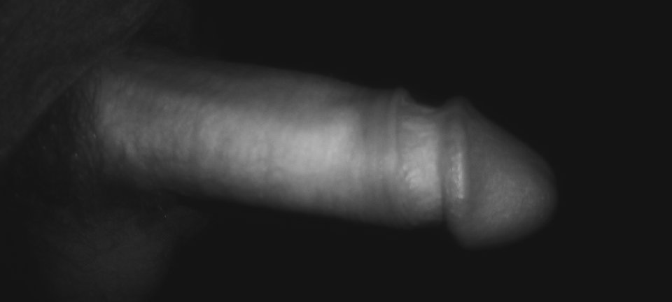 IMG_20240128_221126320.jpg - Dawca96