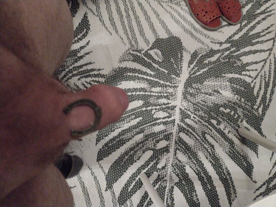 17065889750703695581425741599600.jpg - Chabbeat