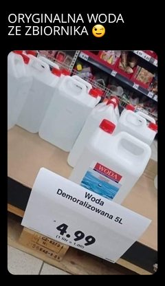 ZomboMeme 30012024063707.jpg