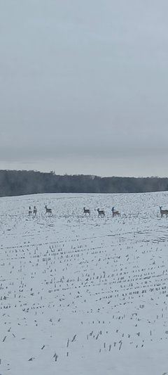 IMG_20240112_084706.jpg