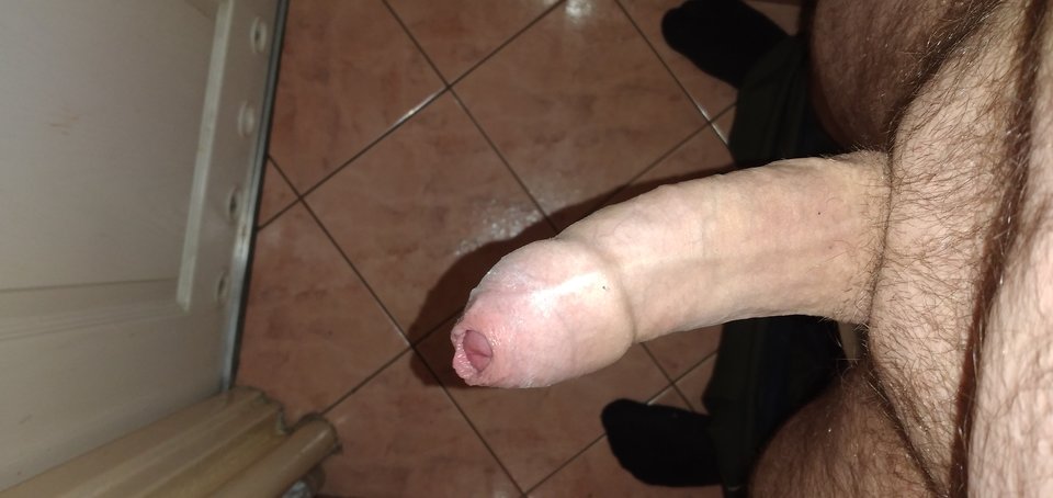 17067154435874283424976304248960.jpg - Hose198787