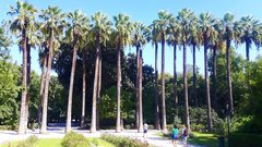 Lubię takie stojące... palmy ;)