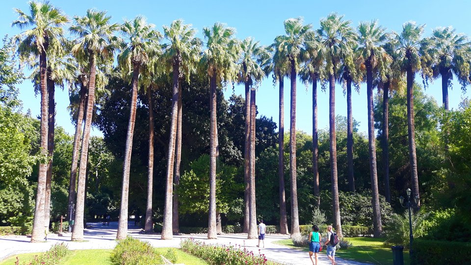 Lubię takie stojące... palmy ;) - Hedonka