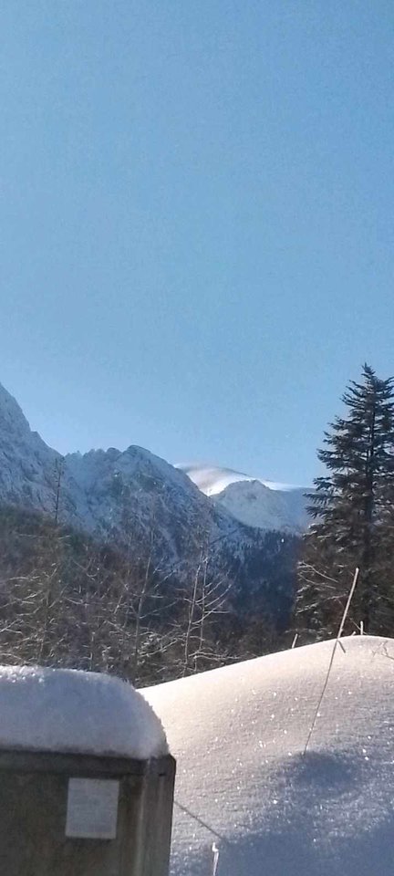 received_406153335318899.jpeg - Mateusz147