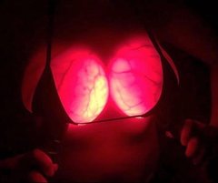 Światłość  wiekuista