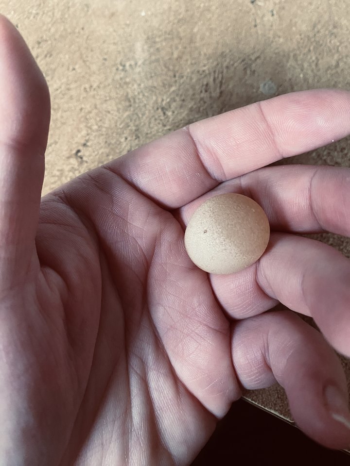 IMG_8193.jpeg - May_Day