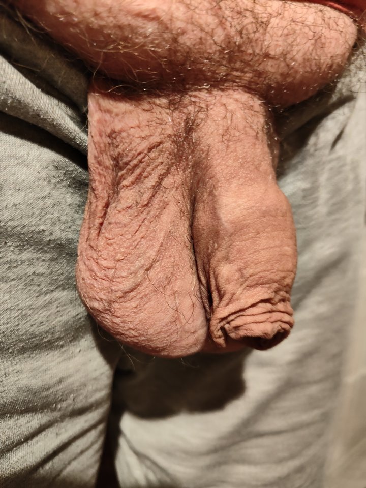 1000013176.jpg - jogan