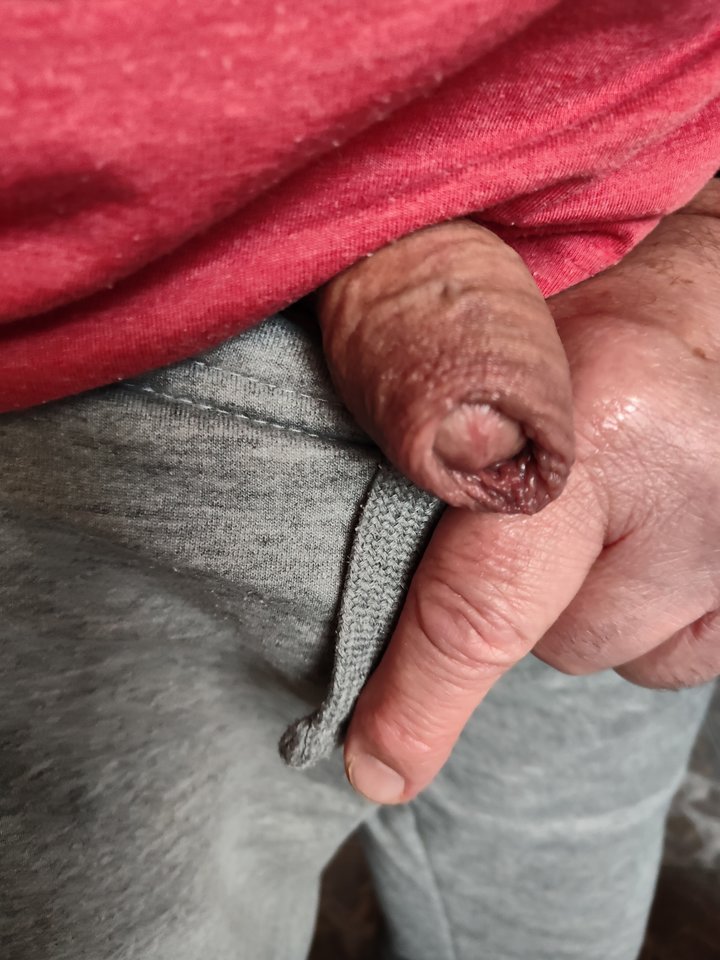 1000013195.jpg - jogan