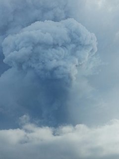 image-245756137ead1e68022f372071841ea65b5170943464e218bb99bdb7af