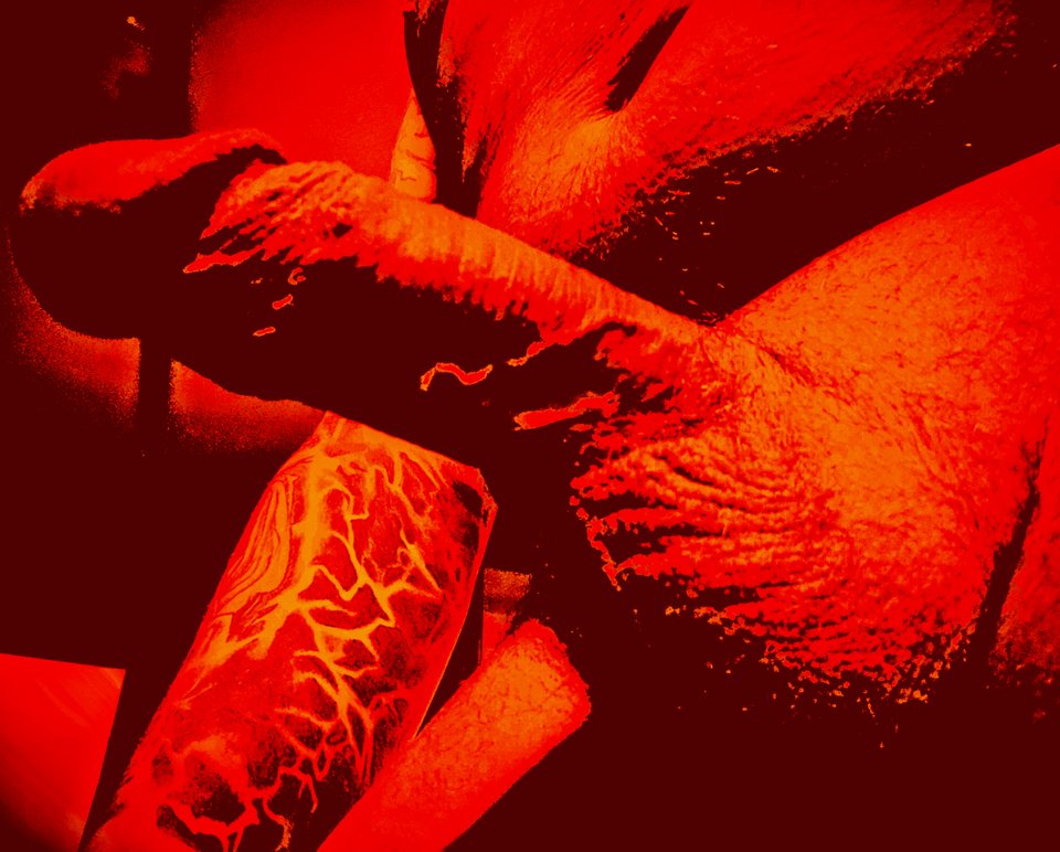 Picsart_23-03-17_15-55-25-574.jpg - Podgladacz9999