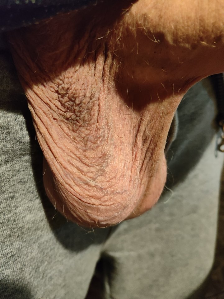 1000013218.jpg - jogan